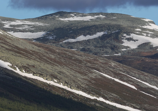 Nøsen Hundreds Bilde Fjell