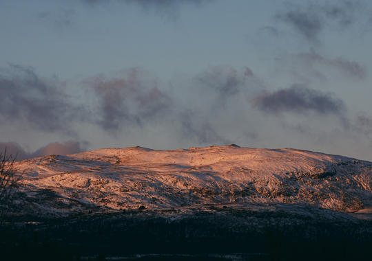 Foto Christine S (Liten)
