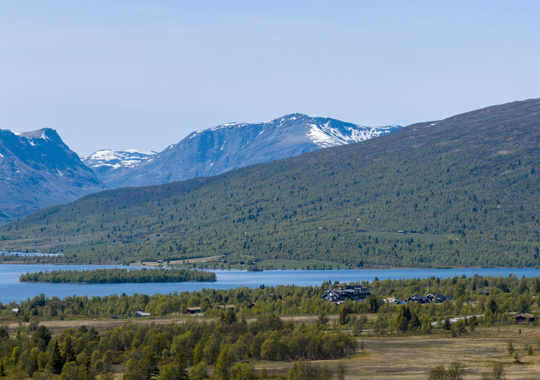 DJI 20250612142236 0960 D