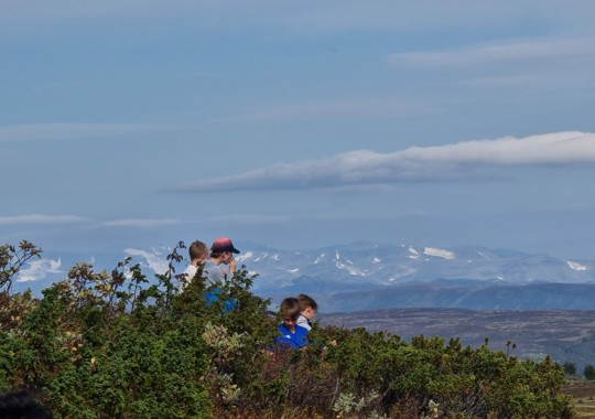 Pause På Vei Til Knippa