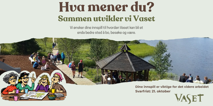 Nettside Og Facebook Plakat Spørreundersøkelse Vaset Vekst