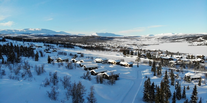 DJI 0366